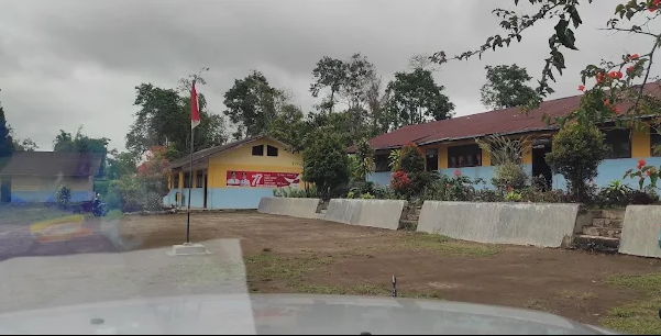 Perpustakaan SDN 033014 Bintang